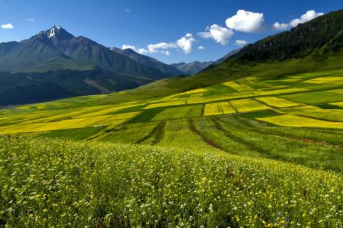 联合冲剪机的发展前景